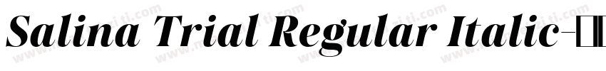 Salina Trial Regular Italic字体转换